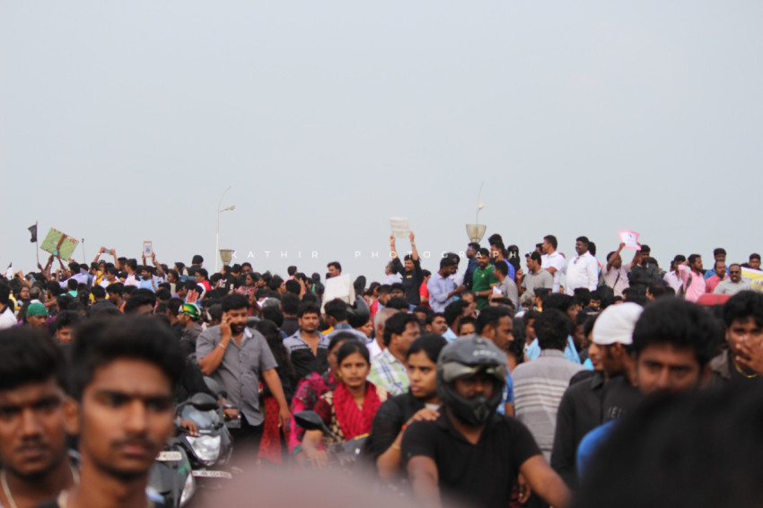 Jallikattu protests marina beach  (70)