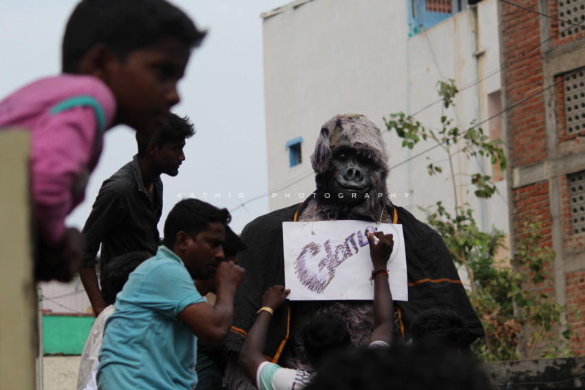 Jallikattu protests marina beach  (26)