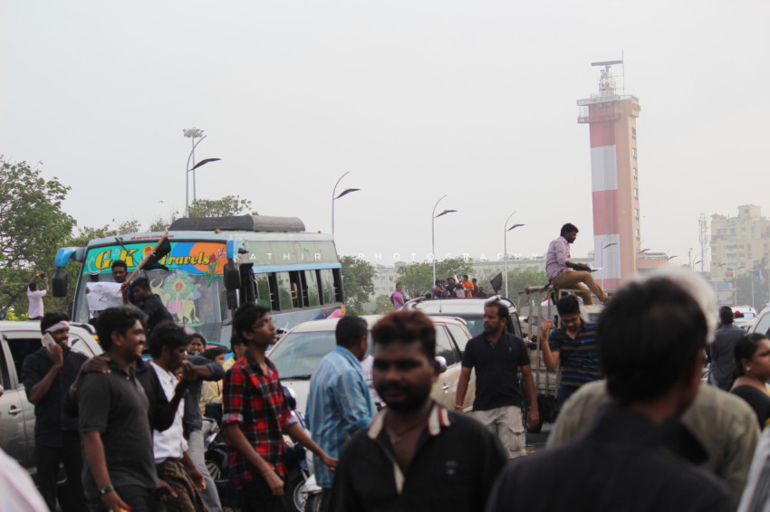 Jallikattu protests marina beach  (65)
