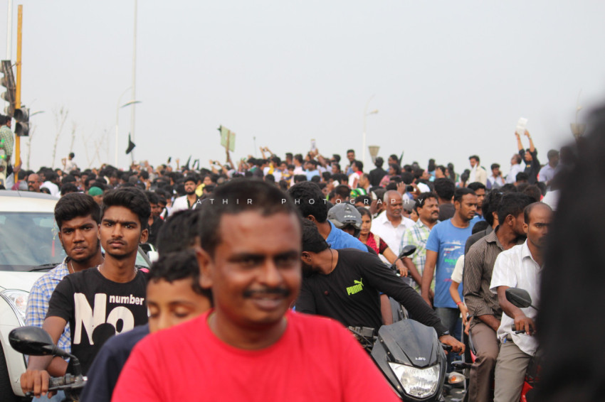 Jallikattu protests marina beach  (69)