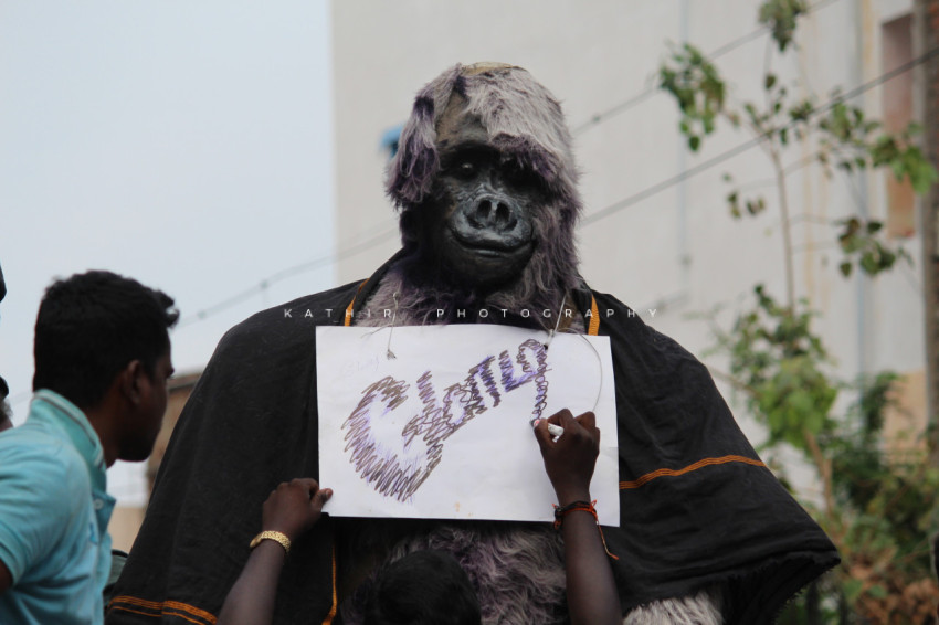 Jallikattu protests marina beach  (28)