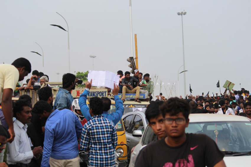 Jallikattu protests marina beach  (71)