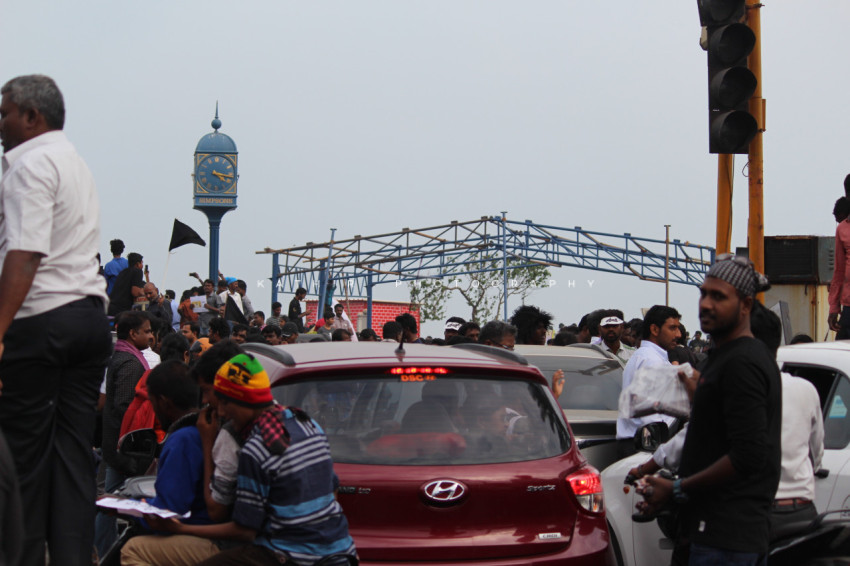 Jallikattu protests marina beach  (62)