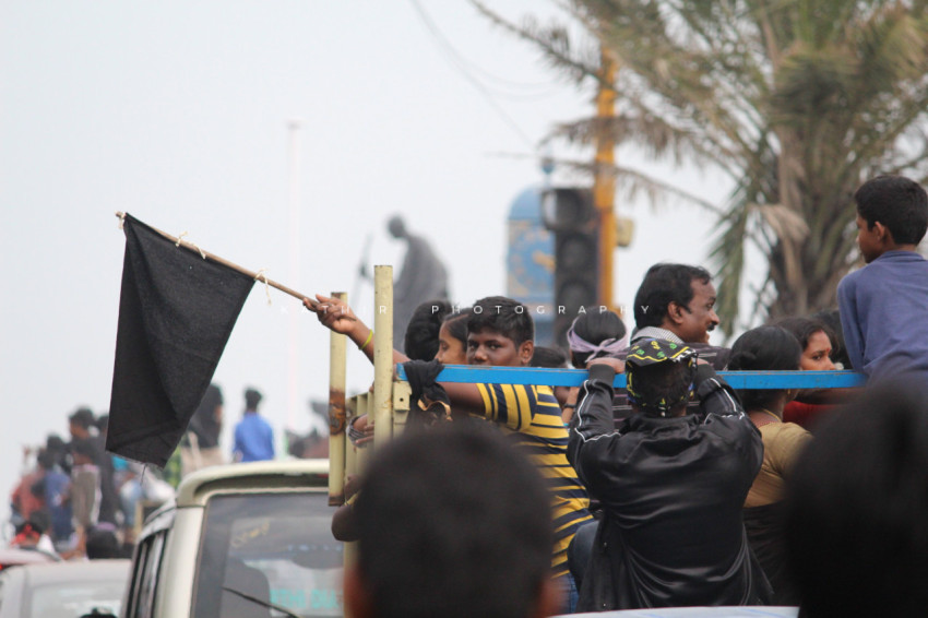 Jallikattu protests marina beach  (58)