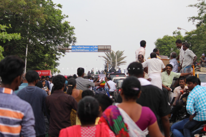 Jallikattu protests marina beach  (57)