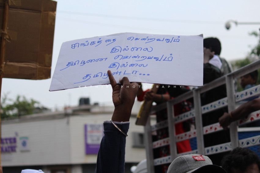 Jallikattu protests marina beach  (9)