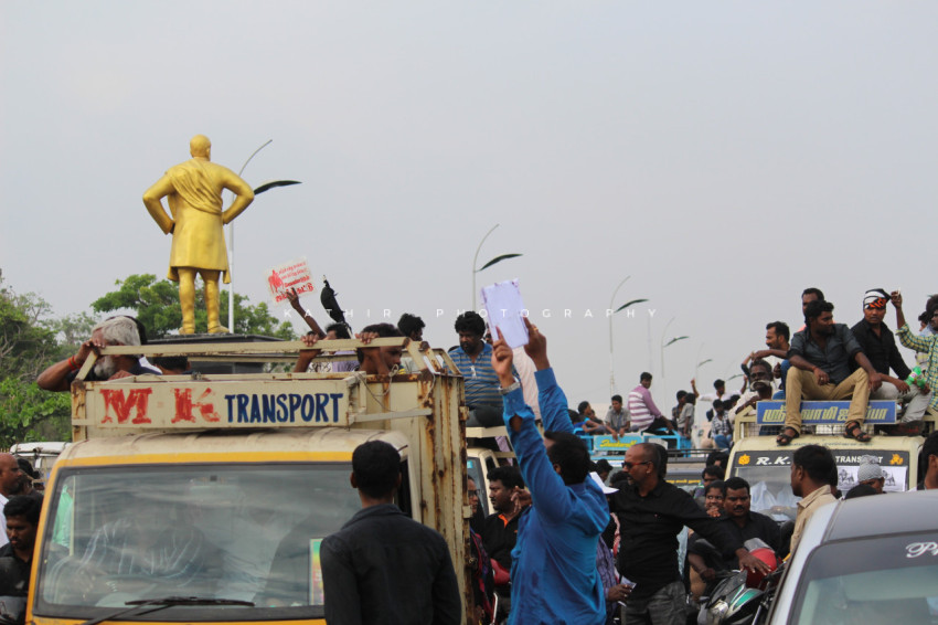 Jallikattu protests marina beach  (74)