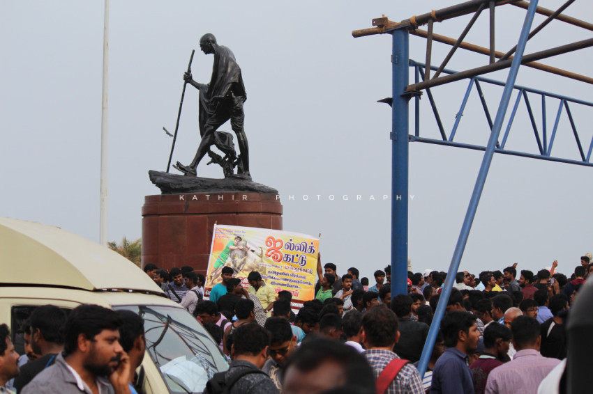 Jallikattu protests marina beach  (72)