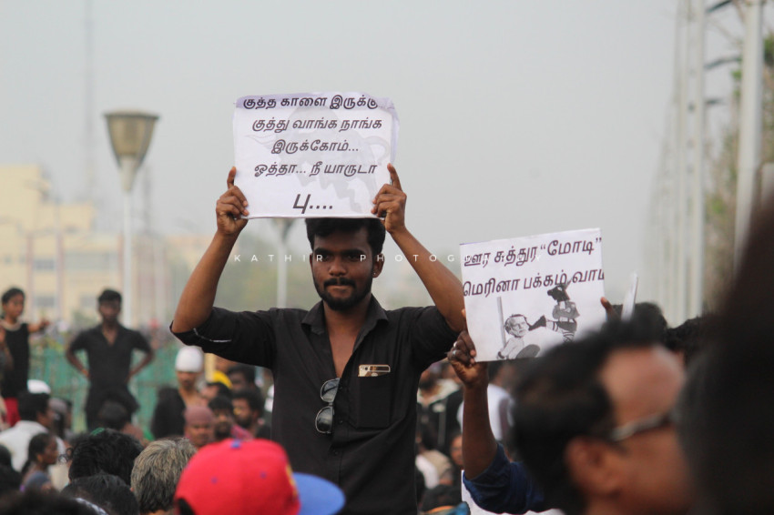 Jallikattu protests marina beach  (124)