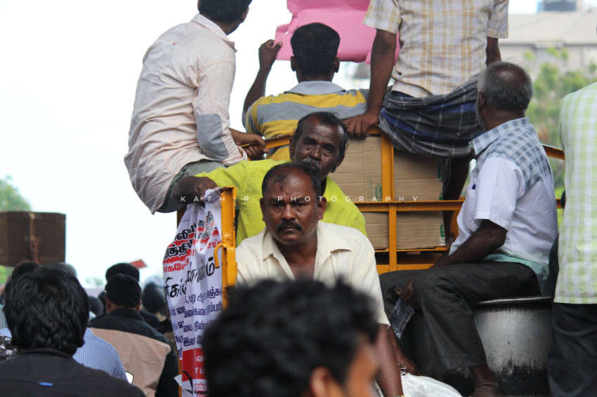 Jallikattu protests marina beach  (37)