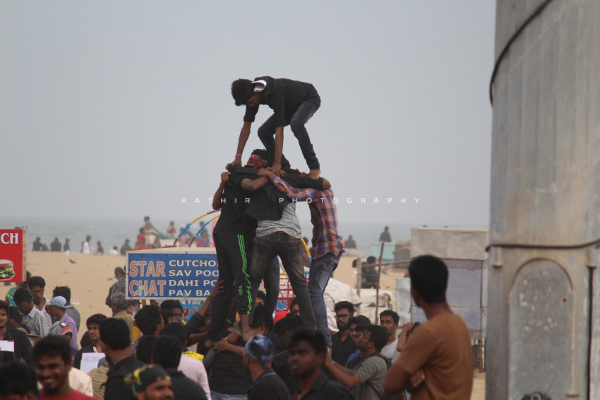 Jallikattu protests marina beach  (104)