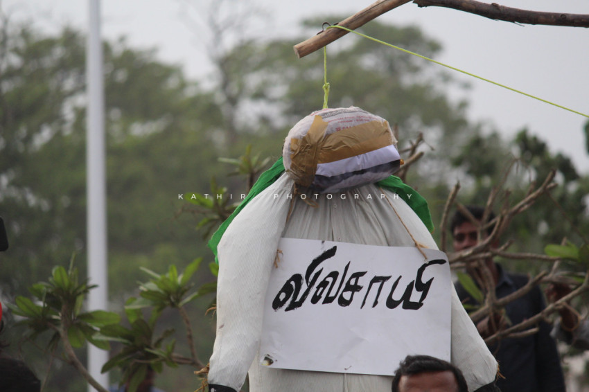 Jallikattu protests marina beach  (159)