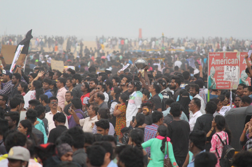 Jallikattu protests marina beach  (177)