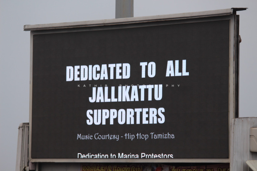 Jallikattu protests marina beach  (342)