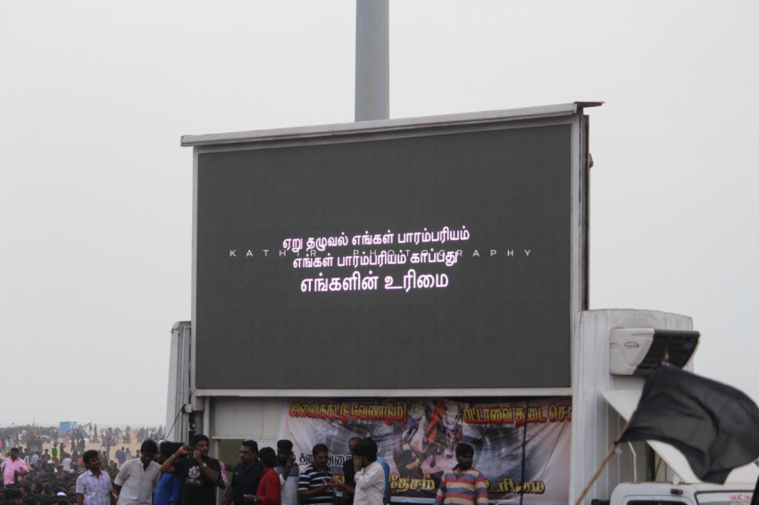Jallikattu protests marina beach  (371)