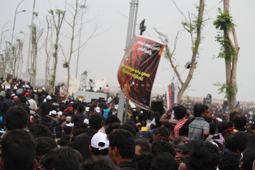 Jallikattu protests marina beach  (379)