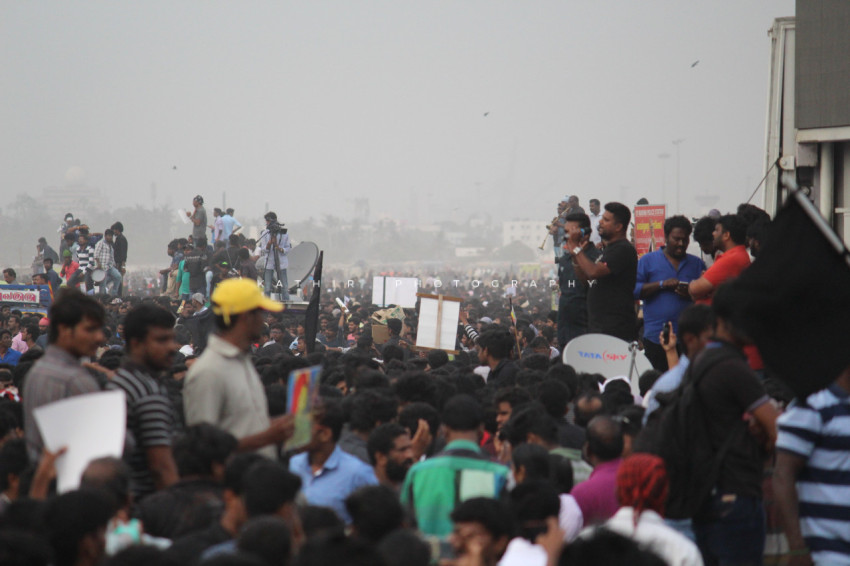 Jallikattu protests marina beach  (227)