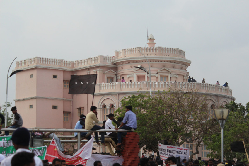 Jallikattu protests marina beach  (237)