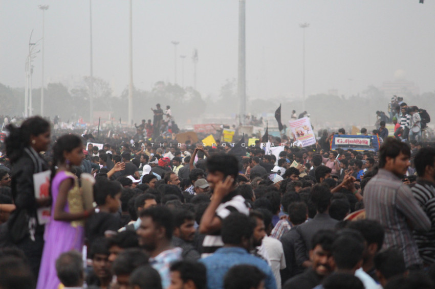 Jallikattu protests marina beach  (224)