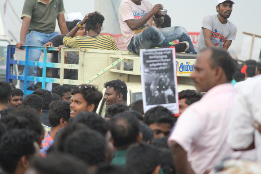 Jallikattu protests marina beach  (220)