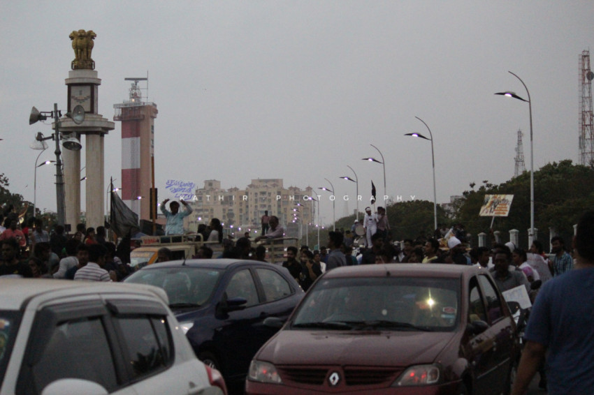 Jallikattu protests marina beach  (590)