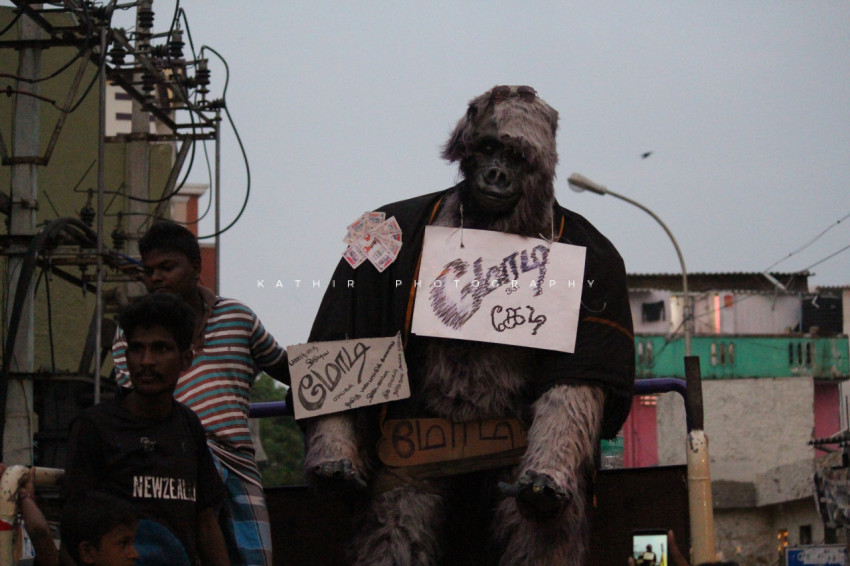 Jallikattu protests marina beach  (611)
