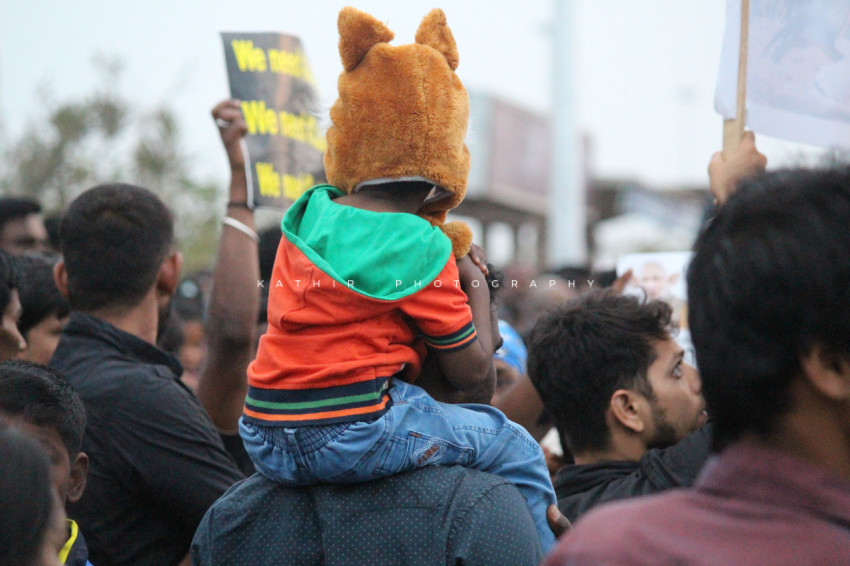 Jallikattu protests marina beach  (549)