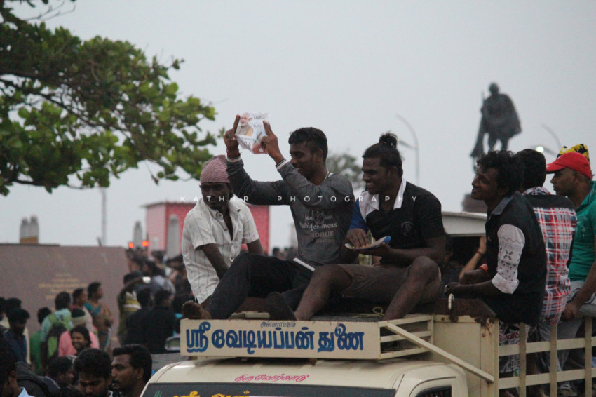 Jallikattu protests marina beach  (573)