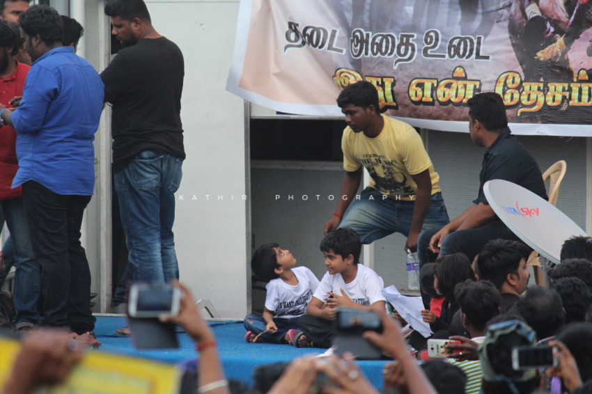 Jallikattu protests marina beach  (351)